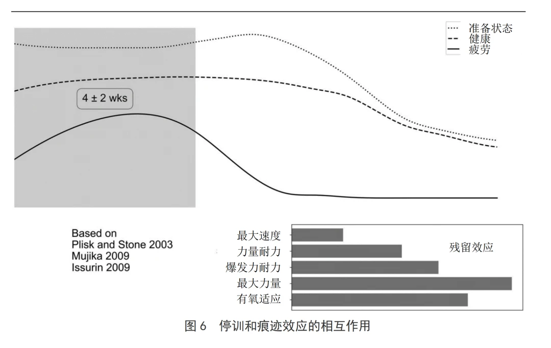 如何利用力量训练提高篮球运动员的弹跳力?_2